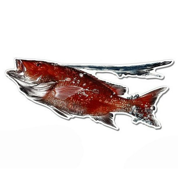 Red Snapper Vinyl Sticker Waterproof Decal
